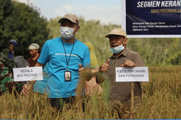 Ubinan with the Department of Agriculture & Fisheries and BPS of Melawi Regency