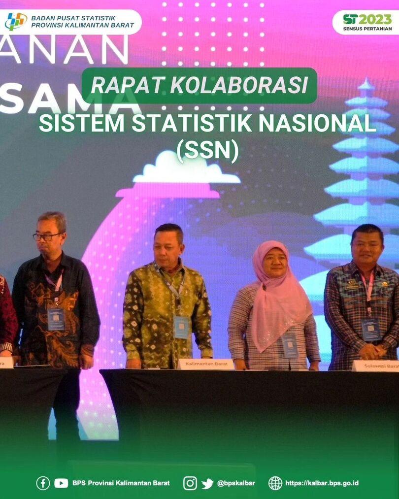 Kolaborasi Sistem Statistik Nasional 2024